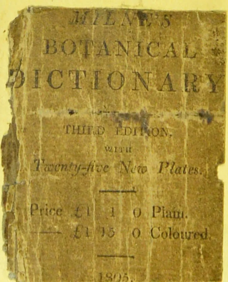 An illustration from A botanical dictionary: or elements of systematic and philosophical botany / [Colin Milne]., 1805, leaf 2