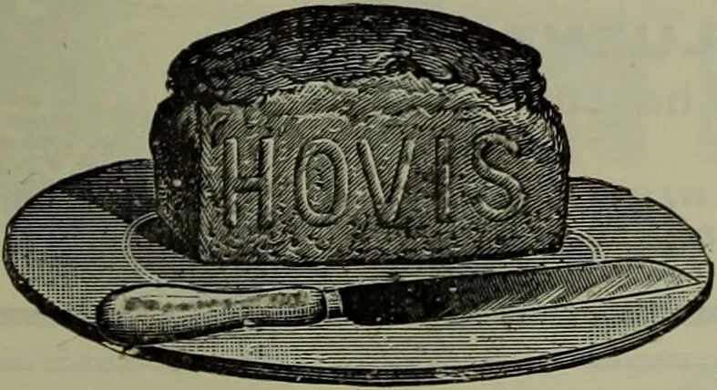 An illustration from Jenner centenary number., 1896, leaf 129