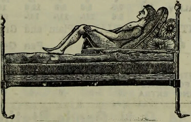 An illustration from Jenner centenary number., 1896, leaf 135