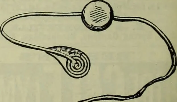 An illustration from Jenner centenary number., 1896, leaf 136