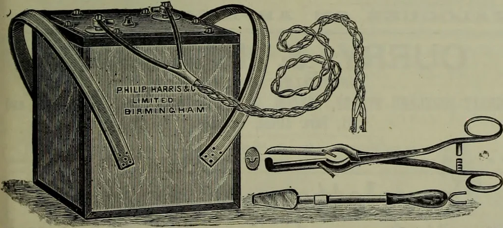An illustration from Jenner centenary number., 1896, leaf 137