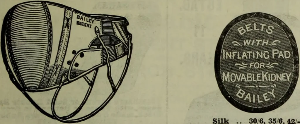 An illustration from Jenner centenary number., 1896, leaf 139
