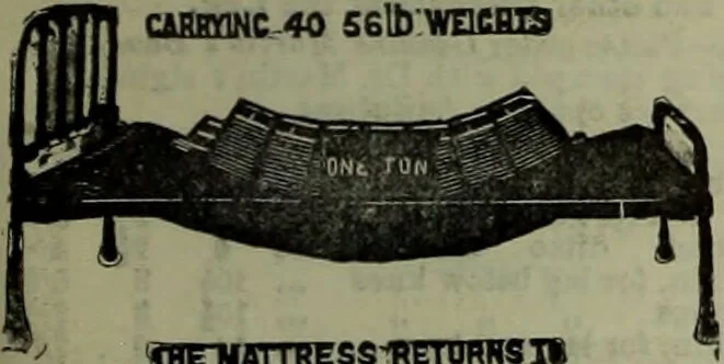 An illustration from Jenner centenary number., 1896, leaf 139
