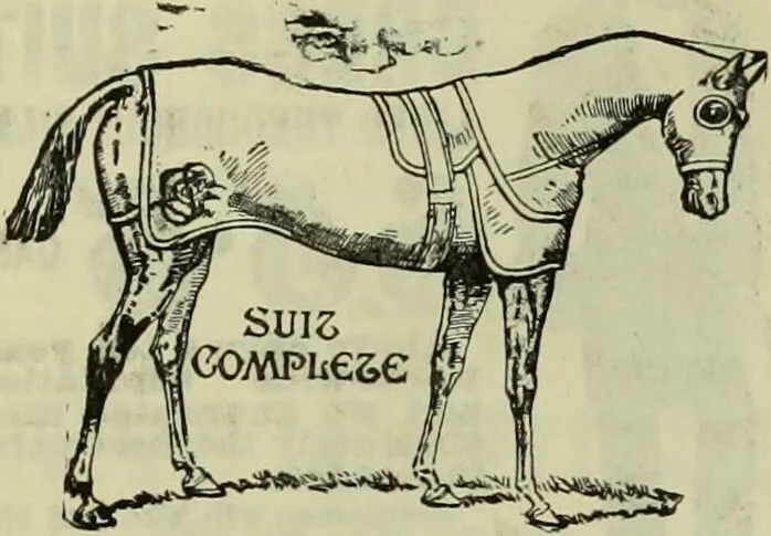 An illustration from Jenner centenary number., 1896, leaf 142