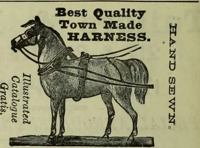 An illustration from Jenner centenary number., 1896, leaf 142