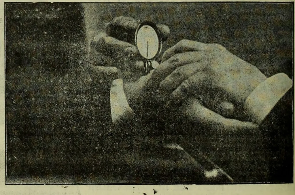 An illustration from Jenner centenary number., 1896, leaf 142