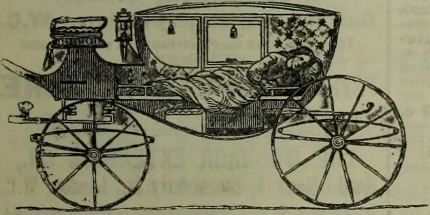An illustration from Jenner centenary number., 1896, leaf 143