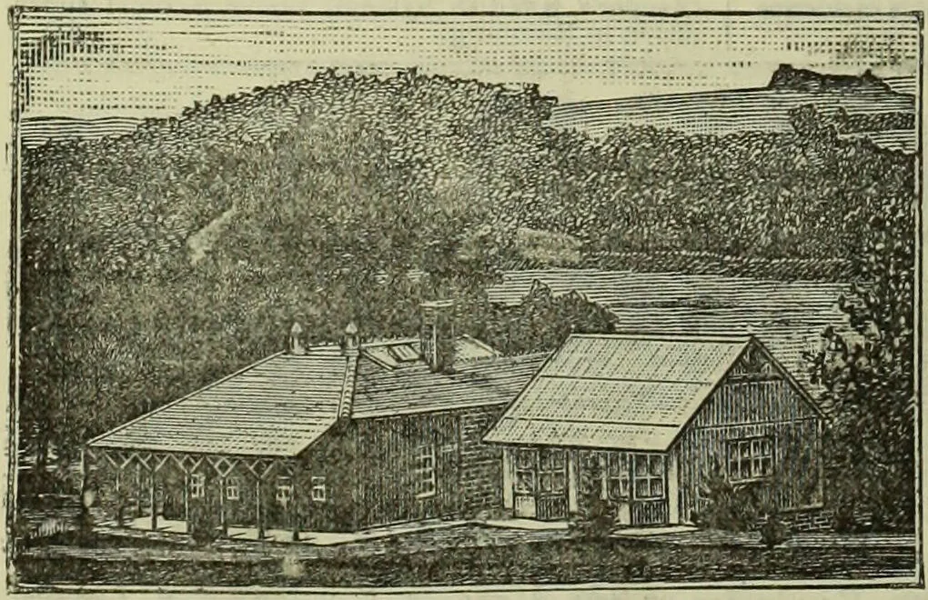 An illustration from Jenner centenary number., 1896, leaf 150