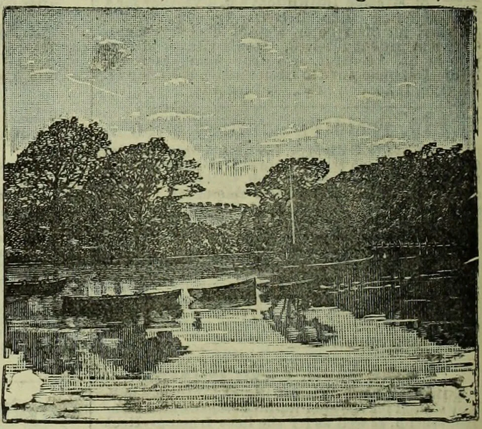 An illustration from Jenner centenary number., 1896, leaf 150