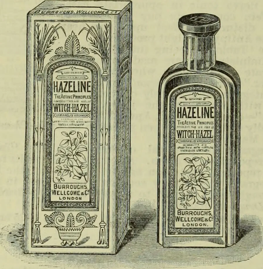 An illustration from Jenner centenary number., 1896, leaf 34