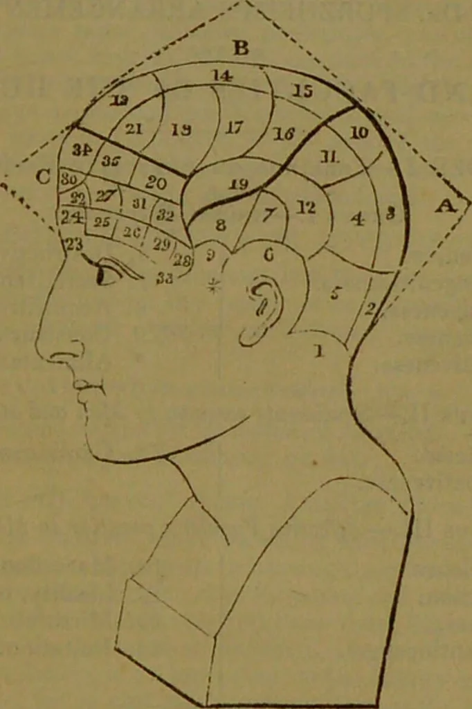 An illustration from A grammar of phrenology, or, An analysis of the faculties of the human mind / by Henry William Dewhurst., 1834, leaf 7