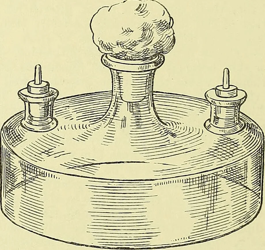 An illustration from Report on the bacteriological diagnosis and the antitoxic serum treatment of cases admitted to the hospitals of the Board during the years 1895 and 1896. / By G. Sims Woodhead., 1899, leaf 134