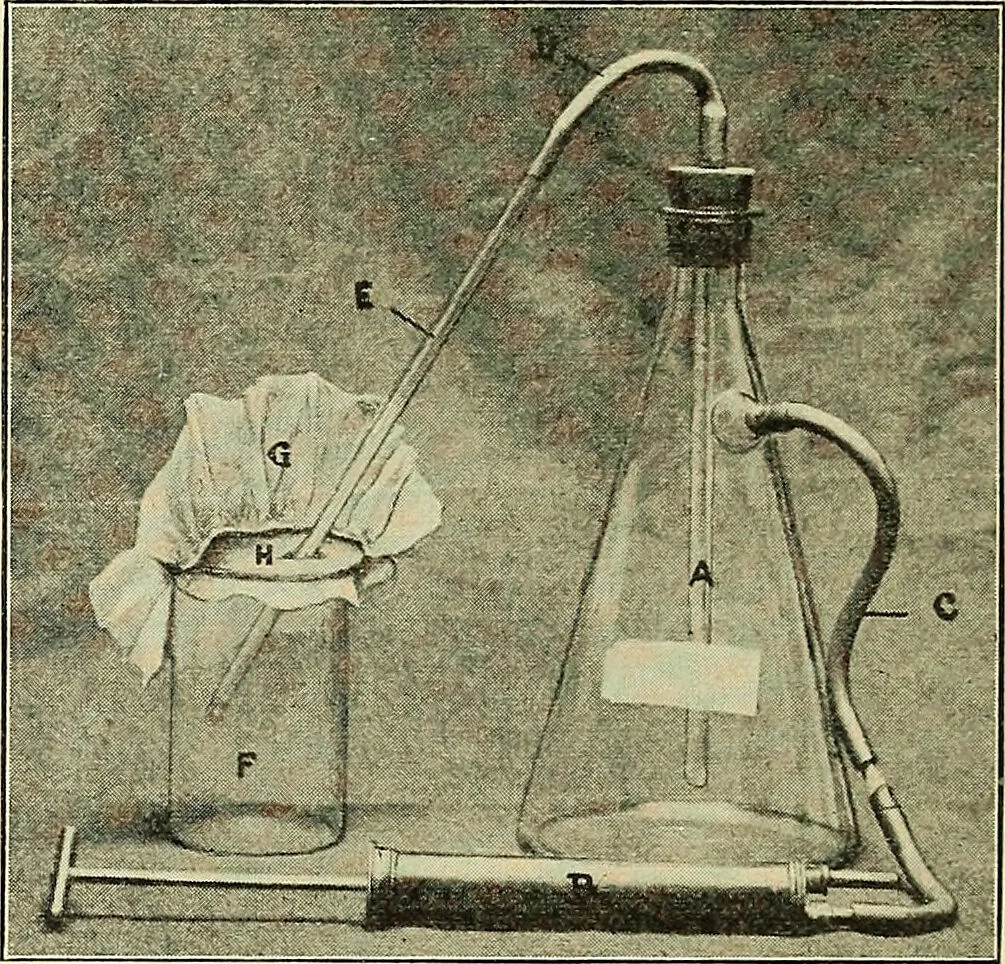 An illustration from Report on the bacteriological diagnosis and the antitoxic serum treatment of cases admitted to the hospitals of the Board during the years 1895 and 1896. / By G. Sims Woodhead., 1899, leaf 148