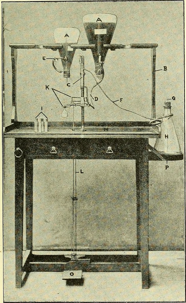 An illustration from Report on the bacteriological diagnosis and the antitoxic serum treatment of cases admitted to the hospitals of the Board during the years 1895 and 1896. / By G. Sims Woodhead., 1899, leaf 151