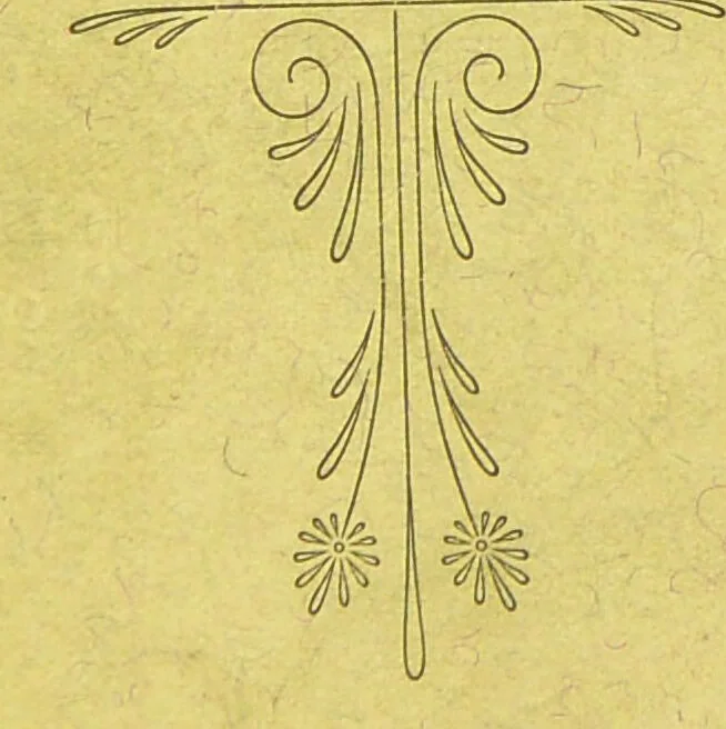An illustration from Amuleti italiani contemporanei : catalogo descrittivo della collezione inviata all'esposizione nazionale di Torino / [Giuseppe Bellucci]., 1898, leaf 5