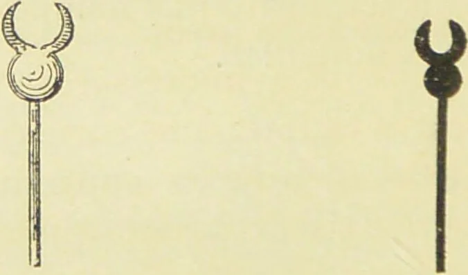 An illustration from La migration des symboles / [Eugène Félicien Albert Goblet d'Alviella]., 1891, leaf 304