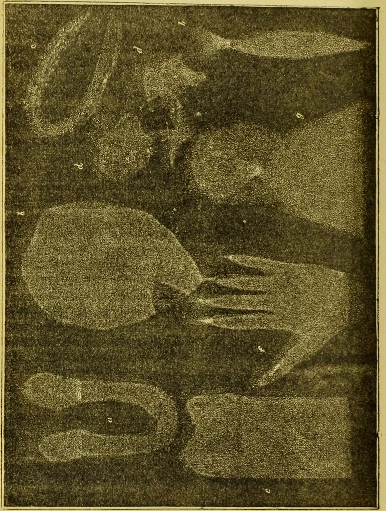 An illustration from La magie et l'hypnose : recueil de faits et d'expériences justifiant et prouvant les enseignements de l'occultisme / par Papus ; avec dessins de Ange Bossard, L. Bouchet, L. de Waldner et L. Delfosse., 1897, leaf 248