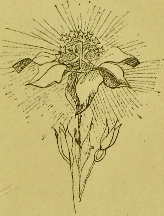 An illustration from La magie et l'hypnose : recueil de faits et d'expériences justifiant et prouvant les enseignements de l'occultisme / par Papus ; avec dessins de Ange Bossard, L. Bouchet, L. de Waldner et L. Delfosse., 1897, leaf 379