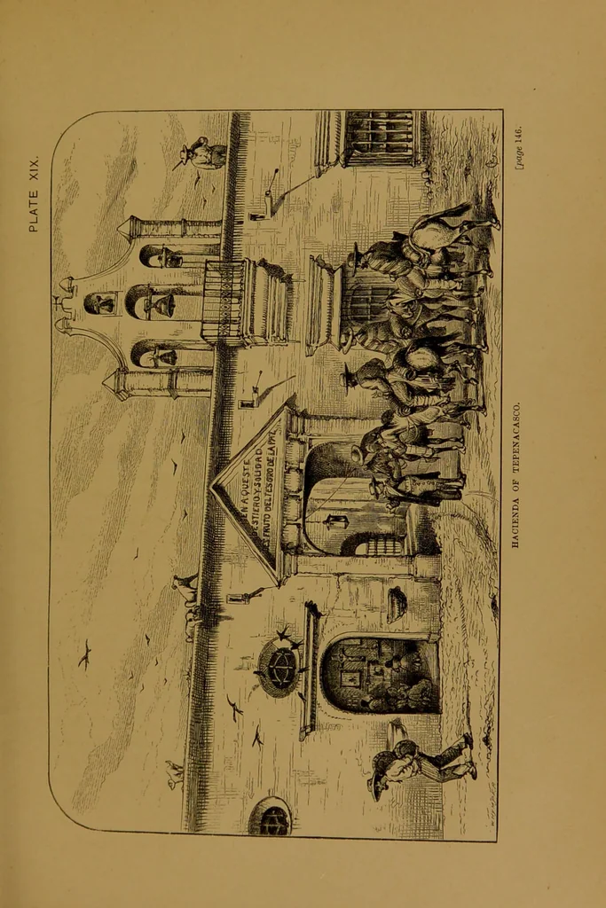 An illustration from Mexico to-day : a country with a great future, and a glance at the prehistoric remains and antiquities of the Montezumas / by Thomas Unett Brocklehurst ; with coloured plates and illustrations from sketches by the author., 1883, leaf 203