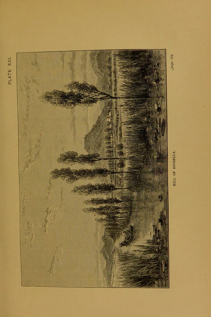 An illustration from Mexico to-day : a country with a great future, and a glance at the prehistoric remains and antiquities of the Montezumas / by Thomas Unett Brocklehurst ; with coloured plates and illustrations from sketches by the author., 1883, leaf 223