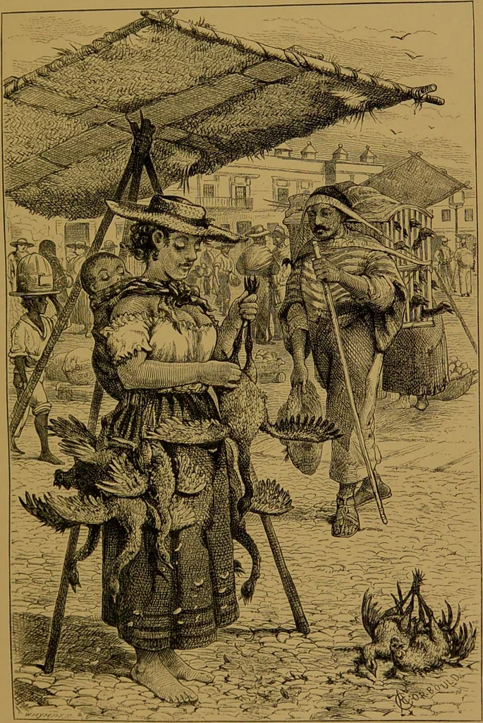 An illustration from Mexico to-day : a country with a great future, and a glance at the prehistoric remains and antiquities of the Montezumas / by Thomas Unett Brocklehurst ; with coloured plates and illustrations from sketches by the author., 1883, leaf 89