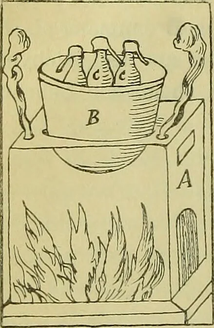 An illustration from Das Ende des Zeitalters der Alchemie und der Beginn der iatrochemischen Periode / von Dr. W. Luzi., 1892, leaf 38