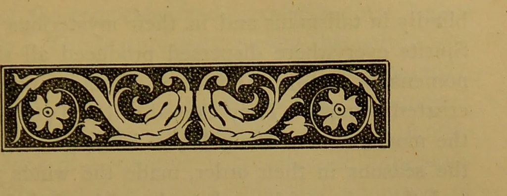 An illustration from Chaldean magic : its origin and development / translated from the French ; with considerable additions by the author, and notes by the editor. By François Lenormant., 1877, leaf 163