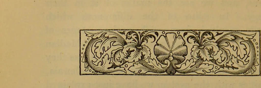 An illustration from Chaldean magic : its origin and development / translated from the French ; with considerable additions by the author, and notes by the editor. By François Lenormant., 1877, leaf 236