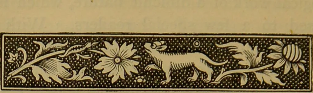 An illustration from Chaldean magic : its origin and development / translated from the French ; with considerable additions by the author, and notes by the editor. By François Lenormant., 1877, leaf 288