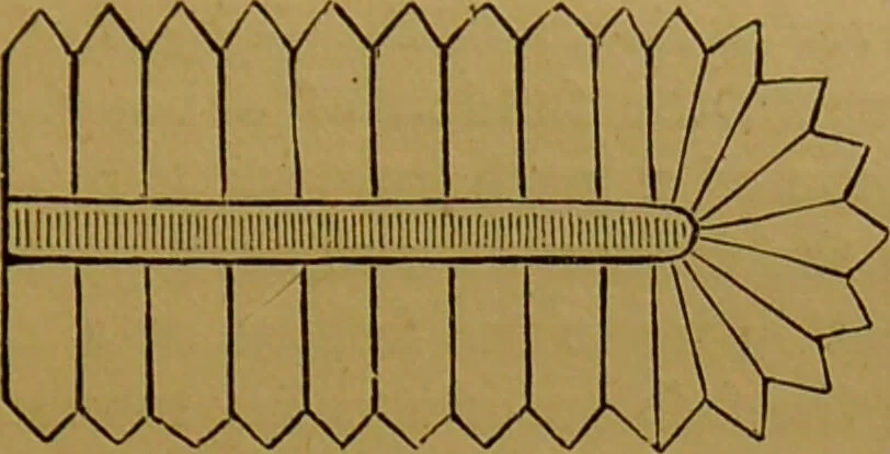 An illustration from Hocus pocus, or, The whole art of legerdemain in perfection : by which the meanest capacity may perform the whole art without a teacher together with the use of all the instruments belonging thereto to which is now added, abundance of new and rare inventions, the like never before in print, but much desired by many / written by Henry Dean., 1886, leaf 99