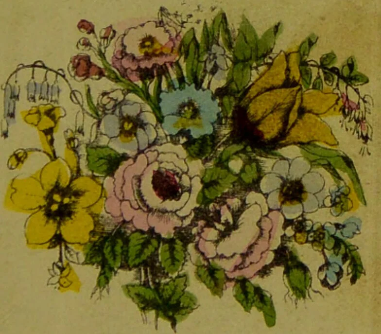 An illustration from Y llysieulyfr teuluaidd : yn dangos rhinwedd meddygol llysian, etc. ... / gan yr enwog Nicholas Culpepper, a Dr. Parkins ; a'i gyfieithu i'r Gymraeg gan David Thomas Jones, Llanllyfni., 1862, leaf 7