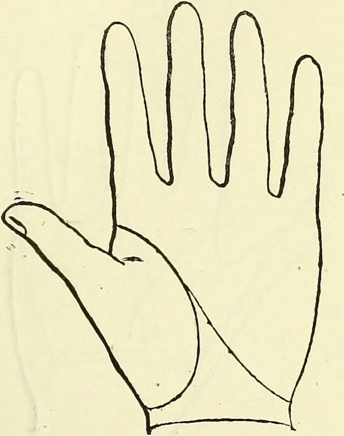 An illustration from Curiosités des sciences occultes / par P.L. Jacob, bibliophile [pseud.]., 1885, leaf 227