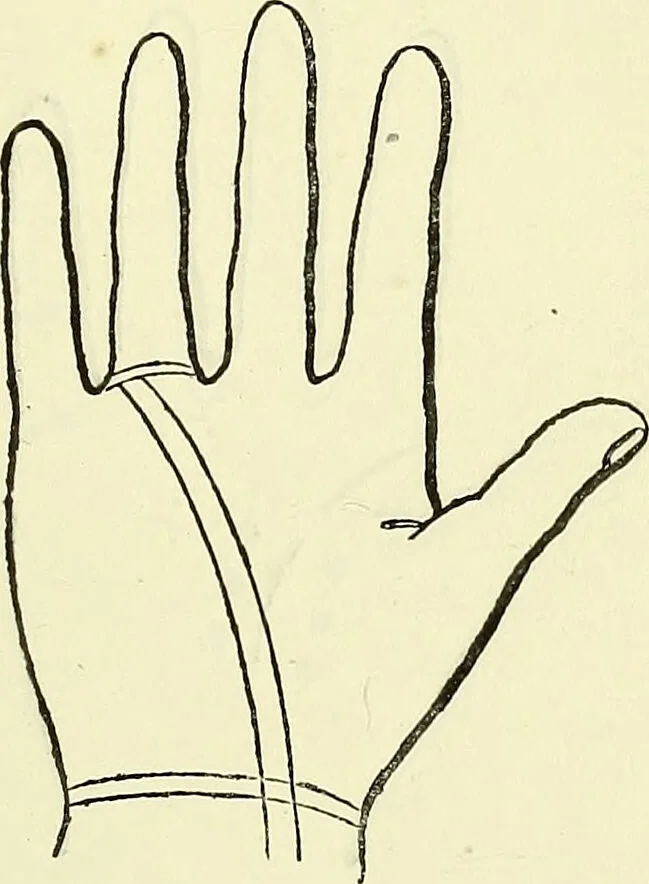 An illustration from Curiosités des sciences occultes / par P.L. Jacob, bibliophile [pseud.]., 1885, leaf 229
