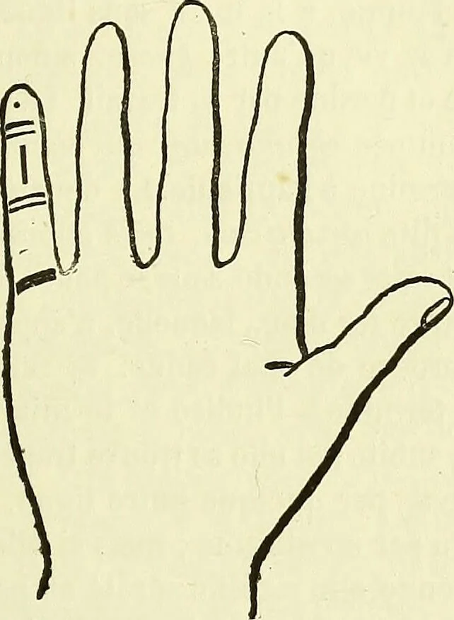 An illustration from Curiosités des sciences occultes / par P.L. Jacob, bibliophile [pseud.]., 1885, leaf 231