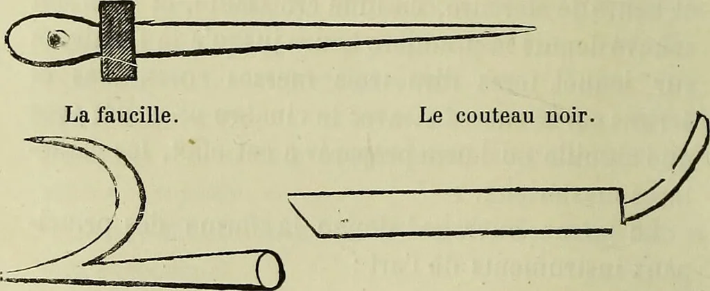 An illustration from Curiosités des sciences occultes / par P.L. Jacob, bibliophile [pseud.]., 1885, leaf 342