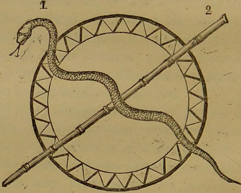 An illustration from Le spiritisme dans le monde : l'initiation et les sciences occultes dans l'Inde et chez tous les peuples de l'antiquité / Louis Jacolliot., 1875, leaf 120