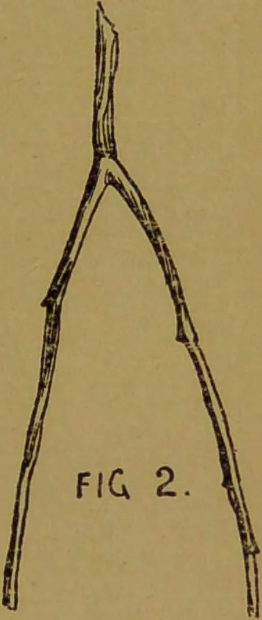An illustration from Consult the oracle, or, How to read the future : a guide to the interpretation of dreams and to other matters magical and mysterious : being the wisdom of past times and present times as to what will surely come to pass / by Gabriel Nostradamus., 1899, leaf 181