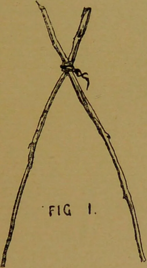 An illustration from Consult the oracle, or, How to read the future : a guide to the interpretation of dreams and to other matters magical and mysterious : being the wisdom of past times and present times as to what will surely come to pass / by Gabriel Nostradamus., 1899, leaf 181