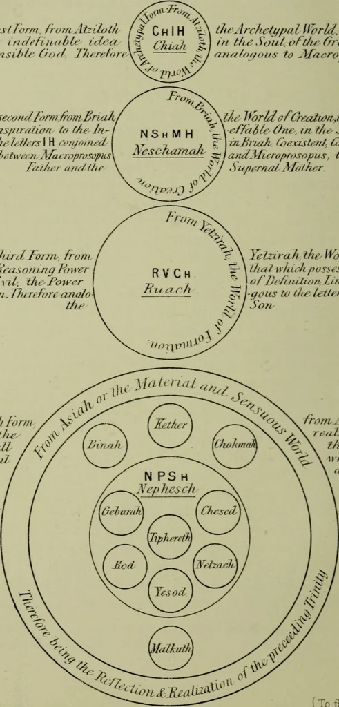 An illustration from The Kabbalah unveiled, containing the following books of the Zohar : 1. The book of concealed mystery. 2. The greater holy assembly. 3. The lesser holy assembly / translated into English from the Latin version of Knorr von Rosenroth, and collated with the original Chaldee and Hebrew text by S.L. MacGregor Mathers., 1887, leaf 56