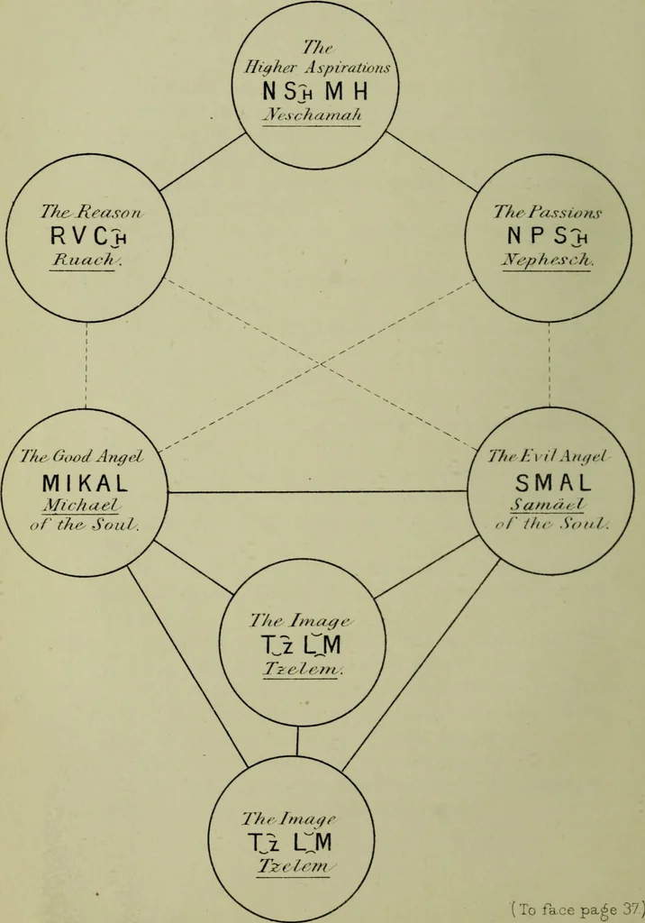An illustration from The Kabbalah unveiled, containing the following books of the Zohar : 1. The book of concealed mystery. 2. The greater holy assembly. 3. The lesser holy assembly / translated into English from the Latin version of Knorr von Rosenroth, and collated with the original Chaldee and Hebrew text by S.L. MacGregor Mathers., 1887, leaf 60