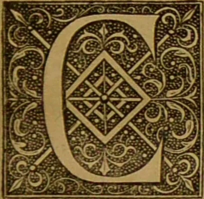 An illustration from Les secrets merveilleux de la magie naturelle du petit Albert : tirés de l'ouvrage latin intitulé: Alberti Parvi Lucii, Libellus de mirabilibus naturae arcanis, et d'autres ecrivains philosophes. Enrichis de figures mystérieuses, d'astrologie, physionomie, etc., etc., 1868, leaf 13