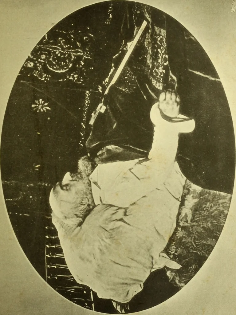 An illustration from Traité méthodique de science occulte / par Papus ; lettre-préface de Ad. Franck., 1891, leaf 15