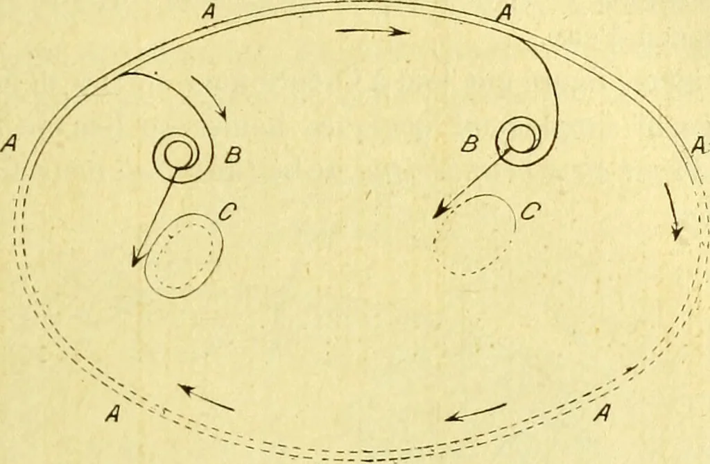 An illustration from Traité méthodique de science occulte / par Papus ; lettre-préface de Ad. Franck., 1891, leaf 173
