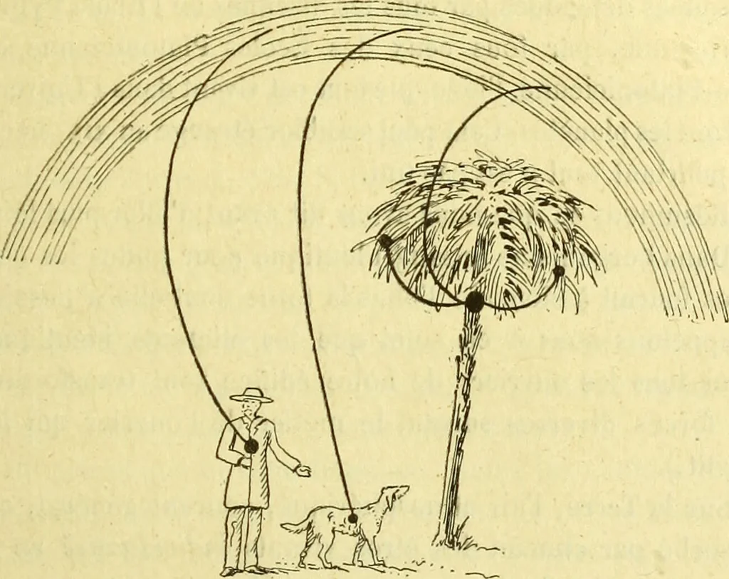 An illustration from Traité méthodique de science occulte / par Papus ; lettre-préface de Ad. Franck., 1891, leaf 175