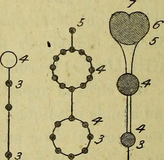 An illustration from Traité méthodique de science occulte / par Papus ; lettre-préface de Ad. Franck., 1891, leaf 262