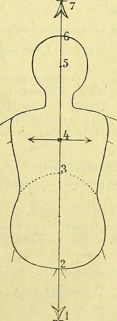 An illustration from Traité méthodique de science occulte / par Papus ; lettre-préface de Ad. Franck., 1891, leaf 265