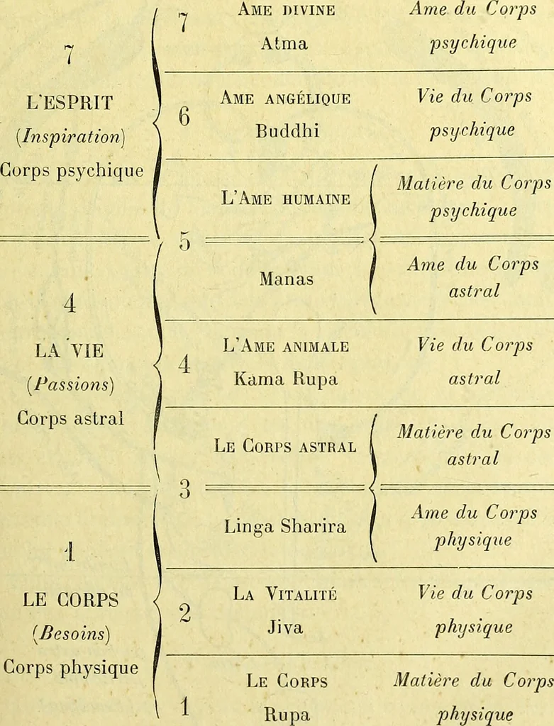 An illustration from Traité méthodique de science occulte / par Papus ; lettre-préface de Ad. Franck., 1891, leaf 267