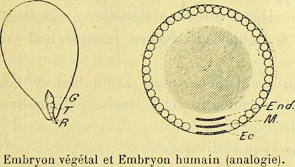 An illustration from Traité méthodique de science occulte / par Papus ; lettre-préface de Ad. Franck., 1891, leaf 321