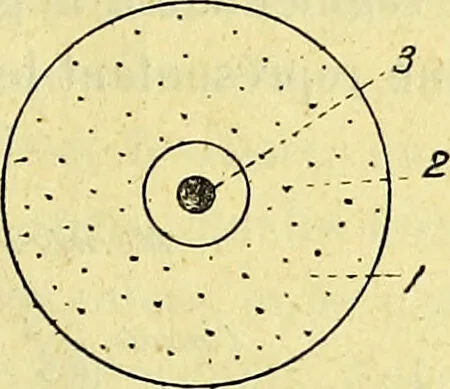 An illustration from Traité méthodique de science occulte / par Papus ; lettre-préface de Ad. Franck., 1891, leaf 327