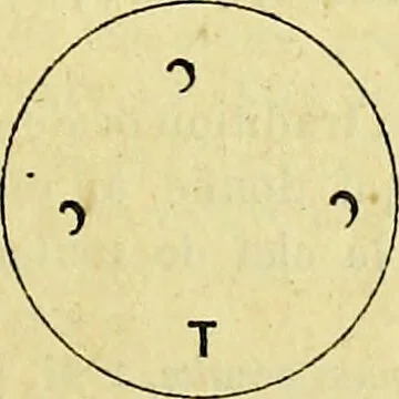 An illustration from Traité méthodique de science occulte / par Papus ; lettre-préface de Ad. Franck., 1891, leaf 547